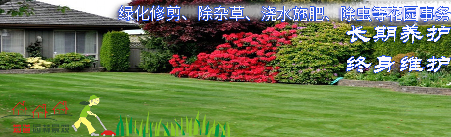 ��ҵС����